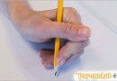 PH-fine-motor-skills-pencil-grip-closed-web-space