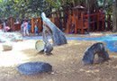 New_Farm_Park_Playground_2_lowres