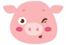 pig-cartoon-face