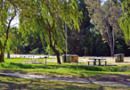 Picnic_area-small