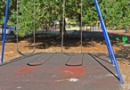 Swings2-small