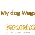 my-dog-wags-frame